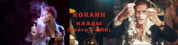соль ск Горняк