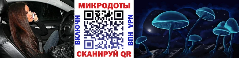 Галлюциногенные грибы мицелий что такое Донской
